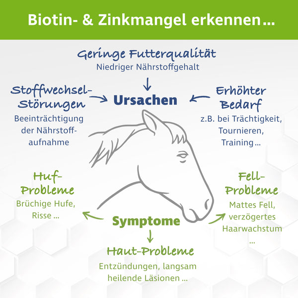 Biotin plus Zink für Pferde – Ergänzungsfuttermittel – 1,2 kg inkl. Dosierlöffel
