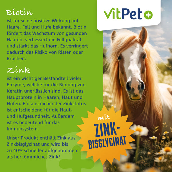 Biotin plus Zink für Pferde – Ergänzungsfuttermittel – 1,2 kg inkl. Dosierlöffel