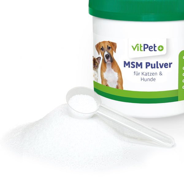 MSM Hund – Premium MSM Pulver für Hunde und Katzen – 300 g inkl. Dosierlöffel