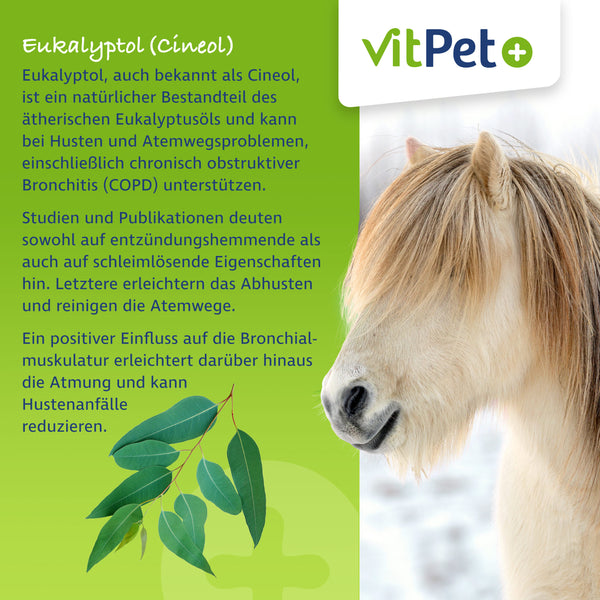 PneumoVit – Zur Unterstützung von Atemwegen – 1,2 kg inkl. Dosierlöffel