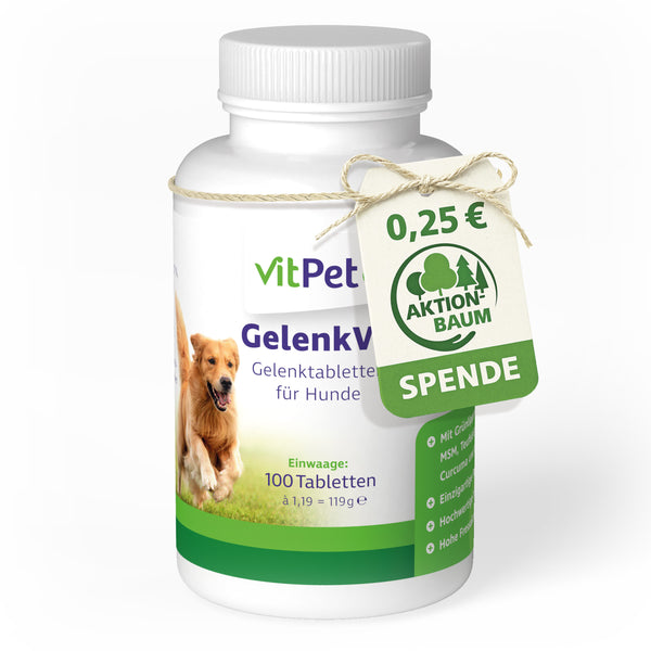 GelenkVit für Hunde – Gelenktabletten mit Grünlippmuschel – 100 Tabletten