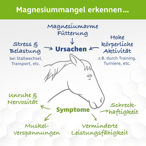 Magnesiumcitrat für Pferde – Premium Magnesium Pulver – 500 g inkl. Dosierlöffel
