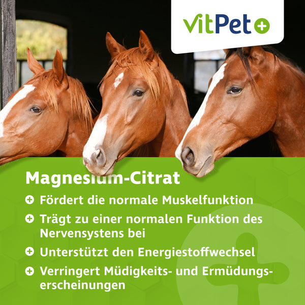 Magnesiumcitrat für Pferde – Premium Magnesium Pulver – 500 g inkl. Dosierlöffel