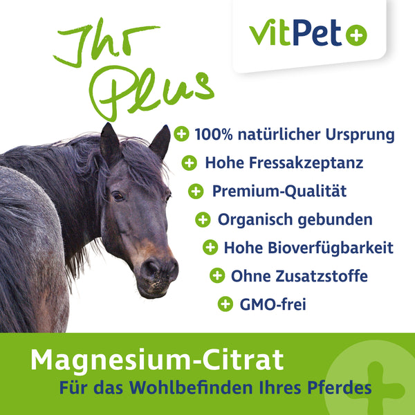 Magnesiumcitrat für Pferde – Premium Magnesium Pulver – 500 g inkl. Dosierlöffel